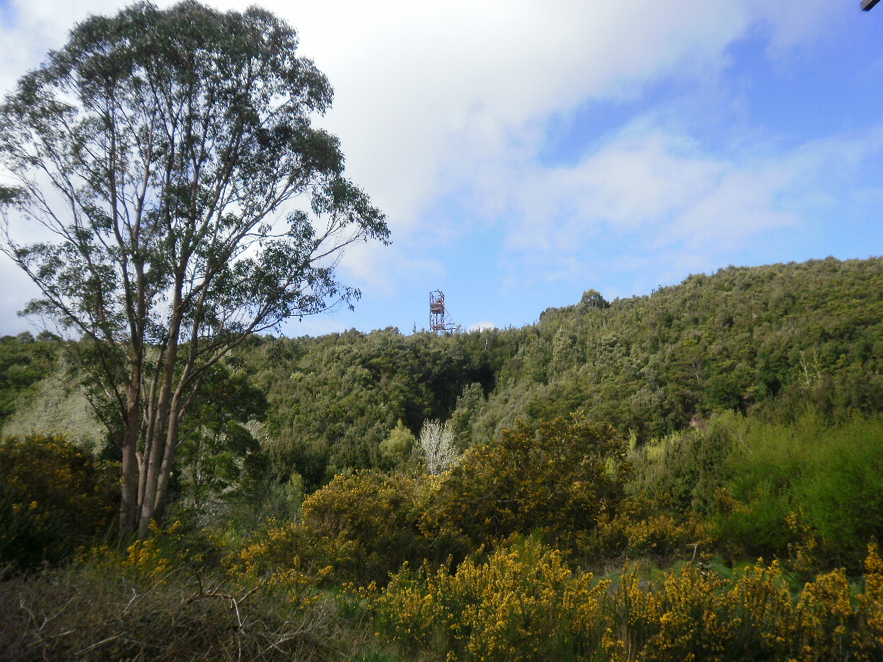 Old winze on hill top