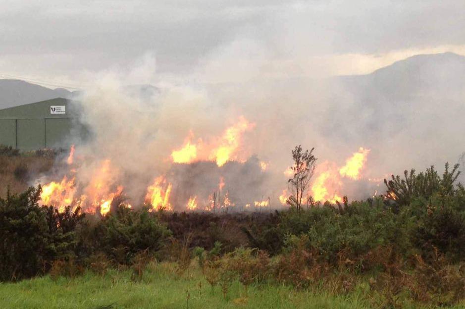 burning off gorse